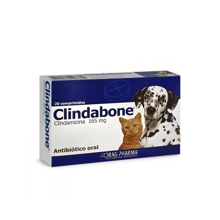 Clindabone 165mg es un antibiótico indicado para el tratamiento de infecciones causadas por bacterias sensibles a la Clindamicina