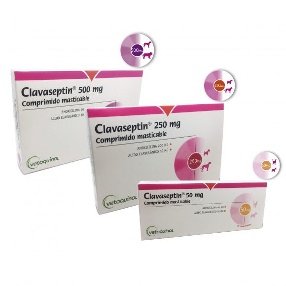 Clavaseptin x 10 Comprimidos Masticables es un antibiótico betalactámico útil para el tratamiento de infecciones causadas por bacterias sensibles a la amoxicilina en combinación con ácido clavulánico