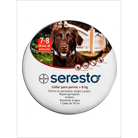 Seresto Collar Para Perros >8kg proporciona protección por 7 a 8 meses contra pulgas y garrapatas, resistente al agua y sin olor.