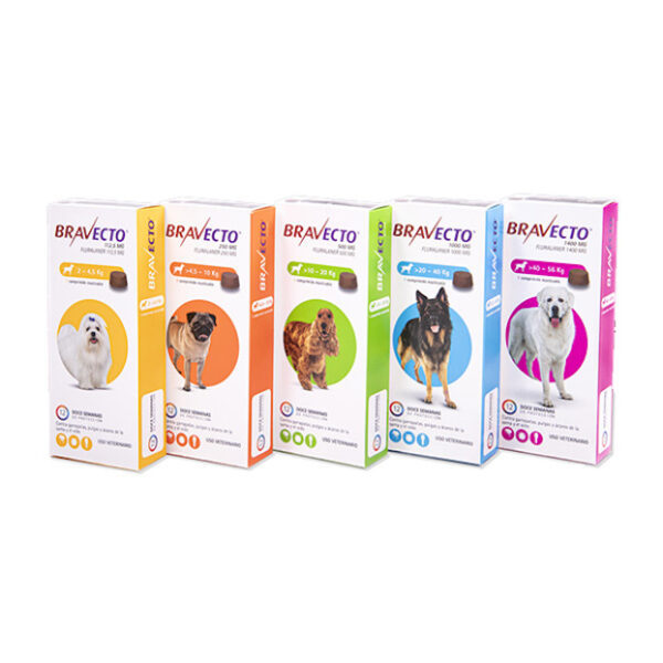 Bravecto Comprimido Masticable es un antiparasitario externo para el control y tratamiento de pulgas y garrapatas en perros, brinda 12 semanas de protección