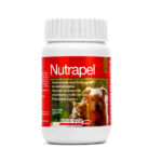 Nutrapel 30 Comprimidos está indicado como coadyuvante en el tratamiento de dermatopatías, favoreciendo el desarrollo, crecimiento y brillo del pelo.